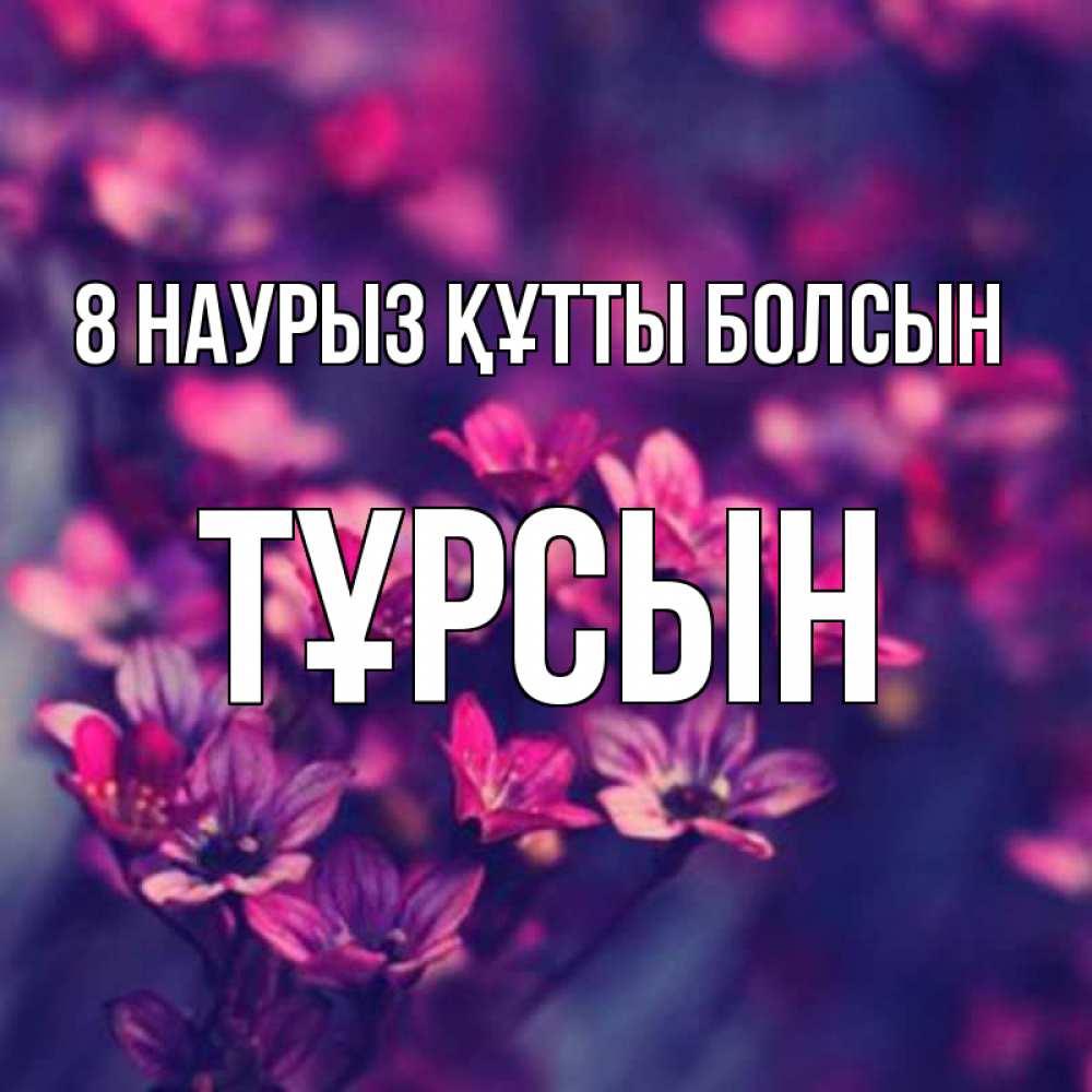 Күн сайын ашық хат с именем, ТҰРСЫН 8 наурыз құтты болсын небольшие цветы 1 Онлайн тегін жүктеп алу тілектері бар керемет карта 