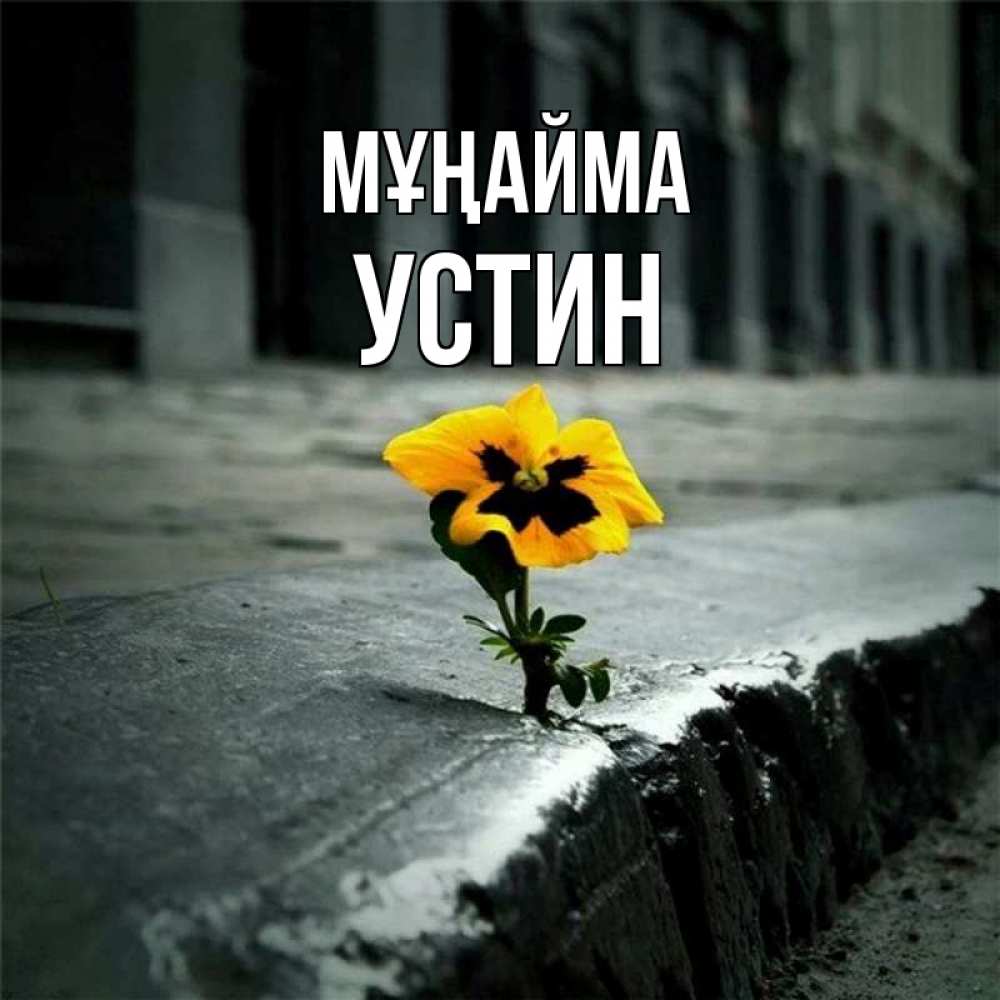 Күн сайын ашық хат с именем, Устин Мұңайма не сдавайся Онлайн тегін жүктеп алу тілектері бар керемет карта 