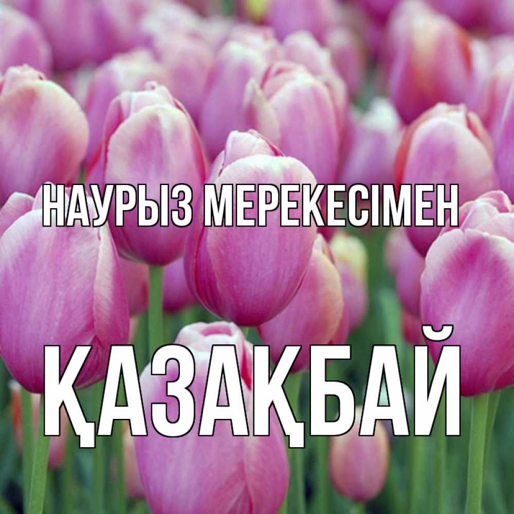 Күн сайын ашық хат с именем, Қазақбай Наурыз мерекесімен праздник весны наурыз 69 Онлайн тегін жүктеп алу тілектері бар керемет карта 