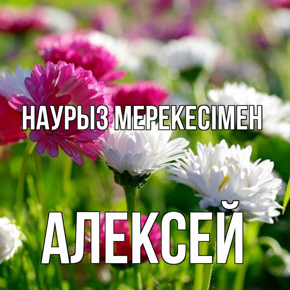Күн сайын ашық хат с именем, Алексей Наурыз мерекесімен праздник весны наурыз красота Онлайн тегін жүктеп алу тілектері бар керемет карта 