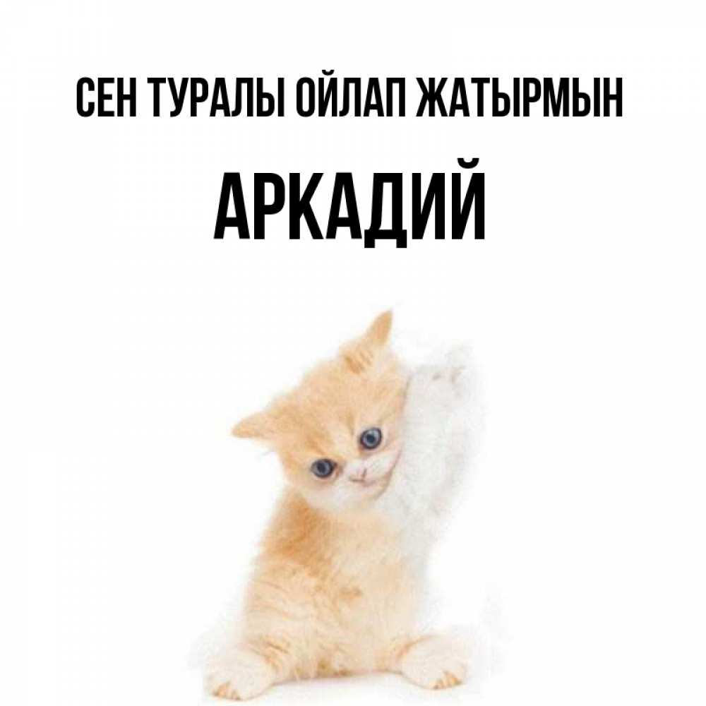 Күн сайын ашық хат с именем, Аркадий Сен туралы ойлап жатырмын зверушки и милота Онлайн тегін жүктеп алу тілектері бар керемет карта 