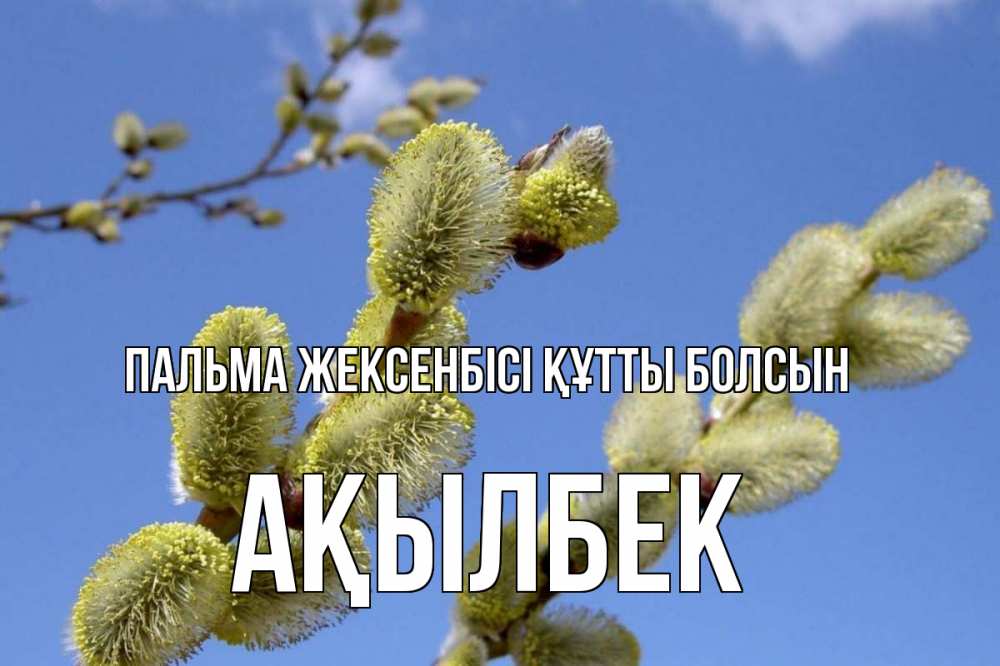 Күн сайын ашық хат с именем, Ақылбек Пальма жексенбісі құтты болсын верба Онлайн тегін жүктеп алу тілектері бар керемет карта 