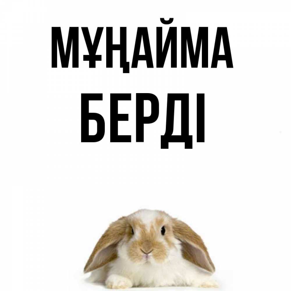 Күн сайын ашық хат с именем, Берді Мұңайма коричнево белый заяц с большими ушками Онлайн тегін жүктеп алу тілектері бар керемет карта 