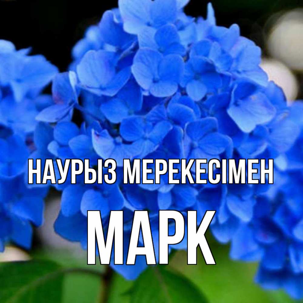 Күн сайын ашық хат с именем, Марк Наурыз мерекесімен синие цветы Онлайн тегін жүктеп алу тілектері бар керемет карта 