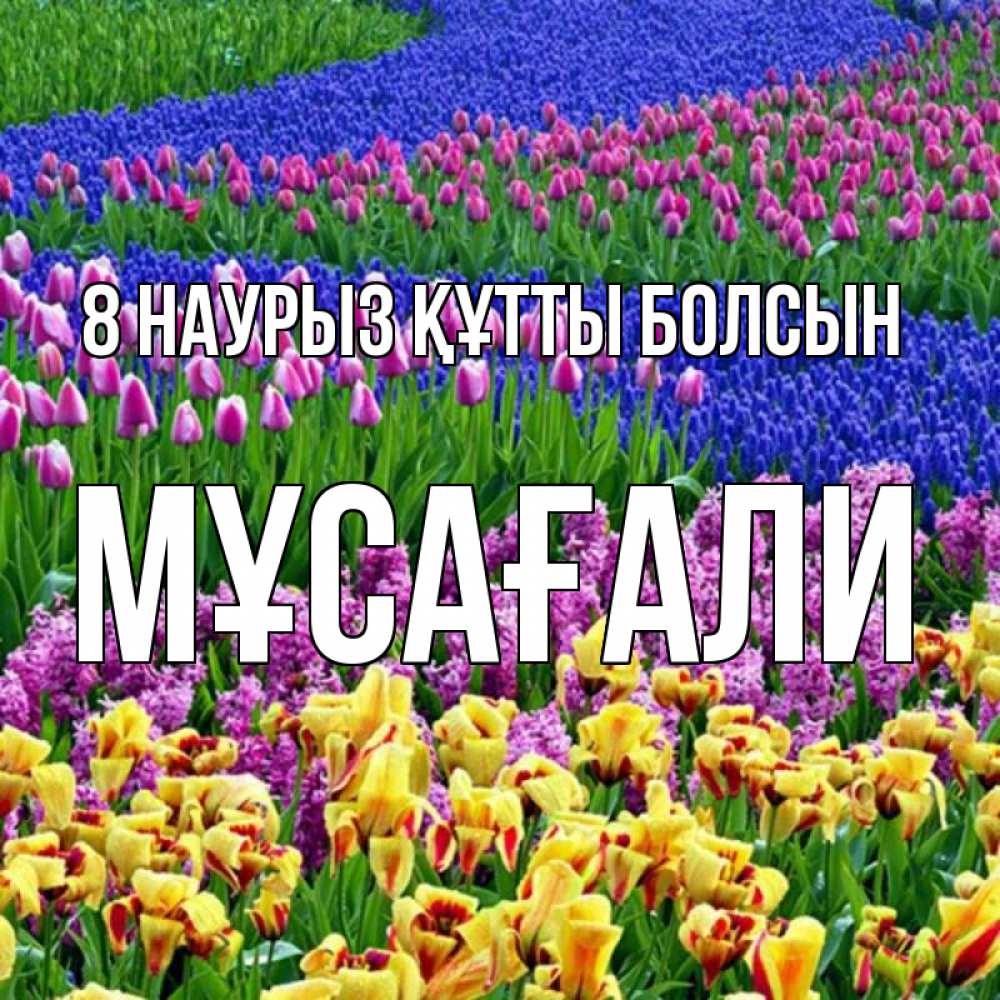 Күн сайын ашық хат с именем, Мұсағали 8 наурыз құтты болсын цветы Онлайн тегін жүктеп алу тілектері бар керемет карта 