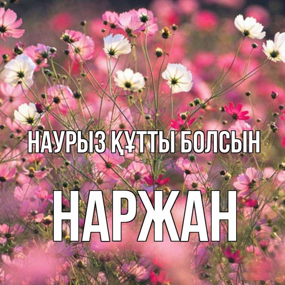 Күн сайын ашық хат с именем, Наржан Наурыз құтты болсын красиво 1 Онлайн тегін жүктеп алу тілектері бар керемет карта 