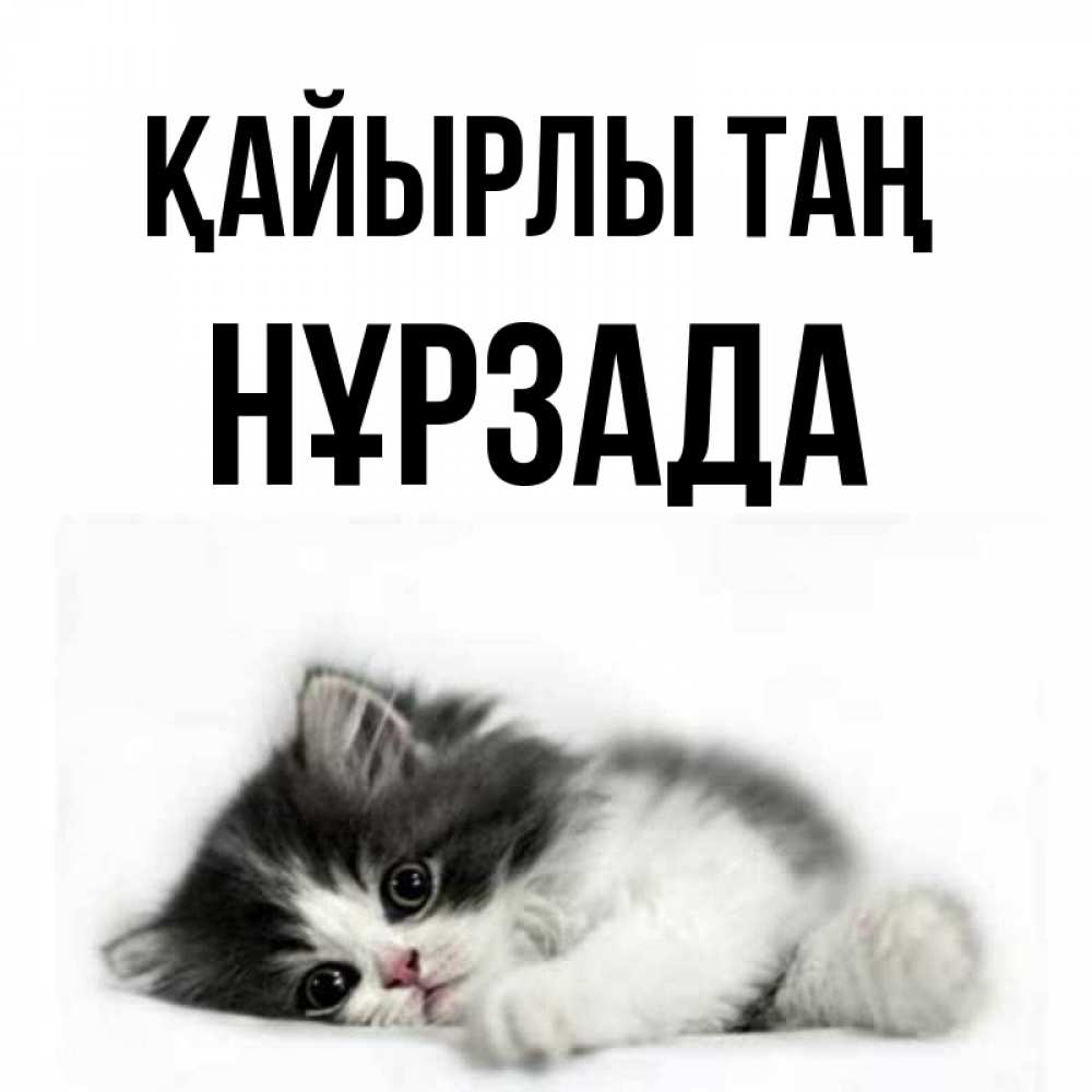 Күн сайын ашық хат с именем, НҰРЗАДА Қайырлы таң кот лапки Онлайн тегін жүктеп алу тілектері бар керемет карта 