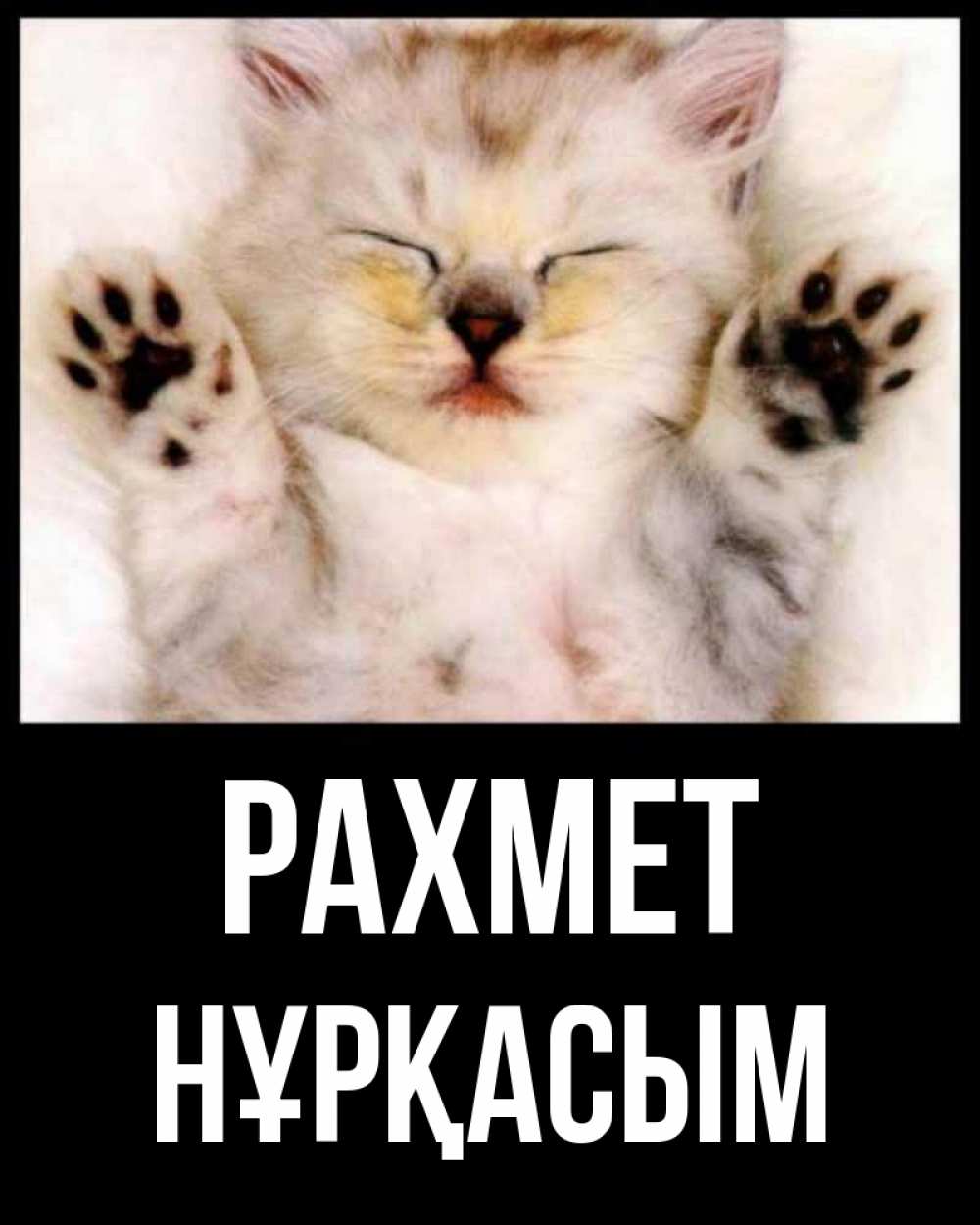 Күн сайын ашық хат с именем, НҰРҚАСЫМ рахмет маленький котенок Онлайн тегін жүктеп алу тілектері бар керемет карта 