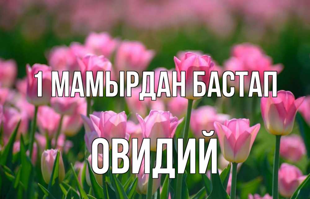 Күн сайын ашық хат с именем, Овидий 1 мамырдан бастап С 1 мая Онлайн тегін жүктеп алу тілектері бар керемет карта 