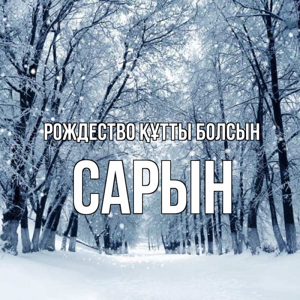 Күн сайын ашық хат с именем, САРЫН Рождество құтты болсын снег, лес, парк Онлайн тегін жүктеп алу тілектері бар керемет карта 