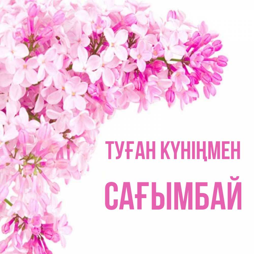 Күн сайын ашық хат с именем, Сағымбай Туған күніңмен Сирень на белом фоне Онлайн тегін жүктеп алу тілектері бар керемет карта 