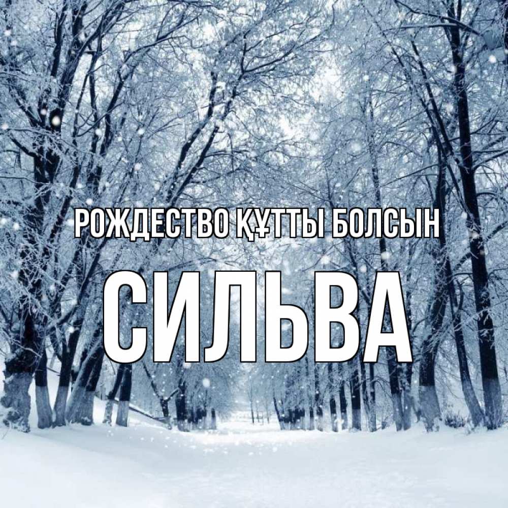 Күн сайын ашық хат с именем, Сильва Рождество құтты болсын снег, лес, парк Онлайн тегін жүктеп алу тілектері бар керемет карта 