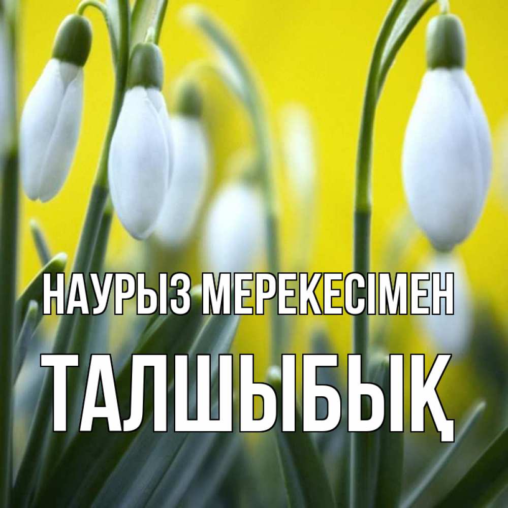 Күн сайын ашық хат с именем, ТАЛШЫБЫҚ Наурыз мерекесімен весенние цветы Онлайн тегін жүктеп алу тілектері бар керемет карта 