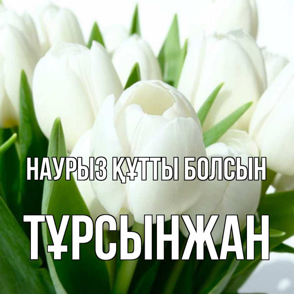 Күн сайын ашық хат с именем, ТҰРСЫНЖАН Наурыз құтты болсын цветы Онлайн тегін жүктеп алу тілектері бар керемет карта 