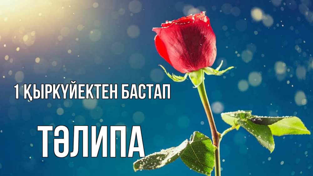 Күн сайын ашық хат с именем, ТӘЛИПА 1 қыркүйектен бастап с днем знаний Онлайн тегін жүктеп алу тілектері бар керемет карта 