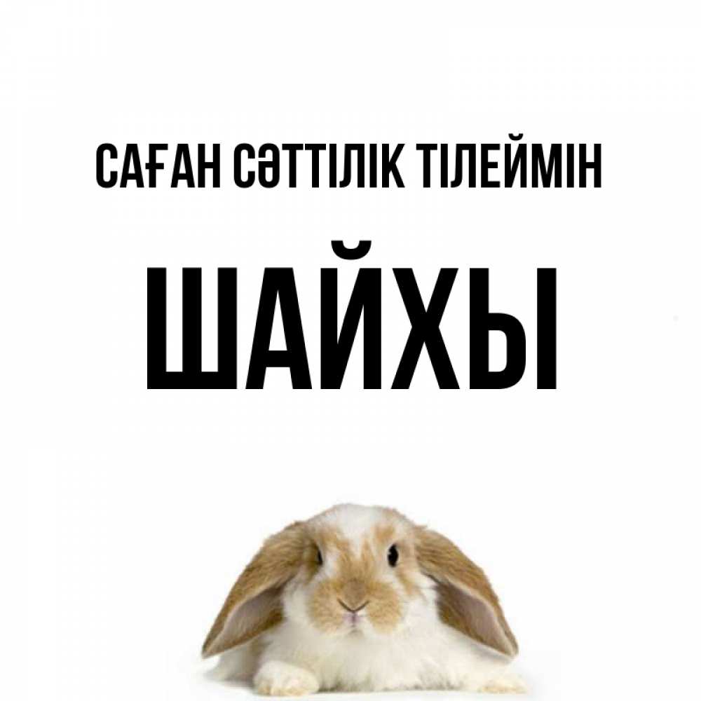 Күн сайын ашық хат с именем, ШАЙХЫ Саған сәттілік тілеймін открытки с произвольным текстом который можно вставить в открытку и создать ее самостоятельно бесплатно онлайн Онлайн тегін жүктеп алу тілектері бар керемет карта 