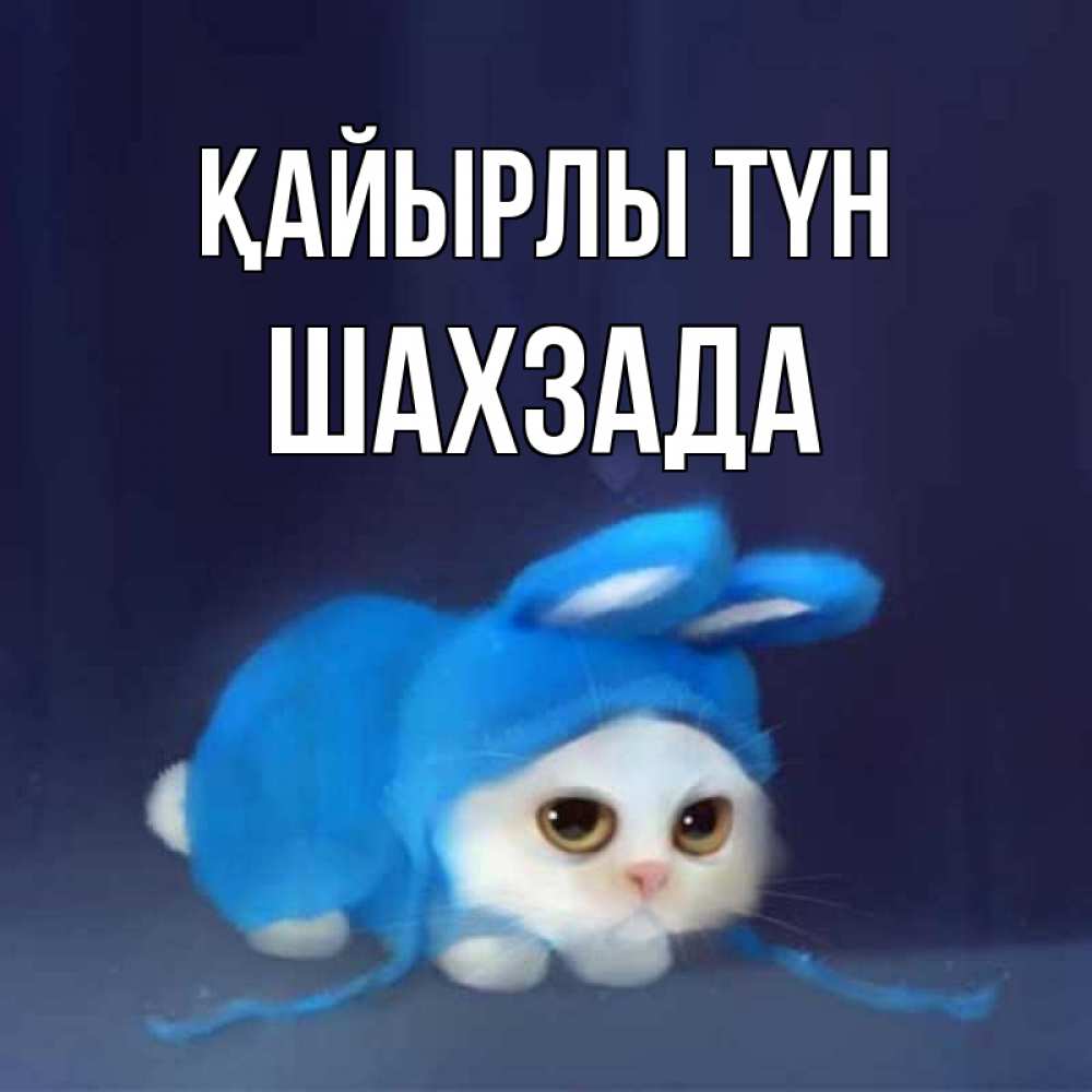 Күн сайын ашық хат с именем, ШАХЗАДА Қайырлы түн кот в голубом костюме кролика с ушками Онлайн тегін жүктеп алу тілектері бар керемет карта 