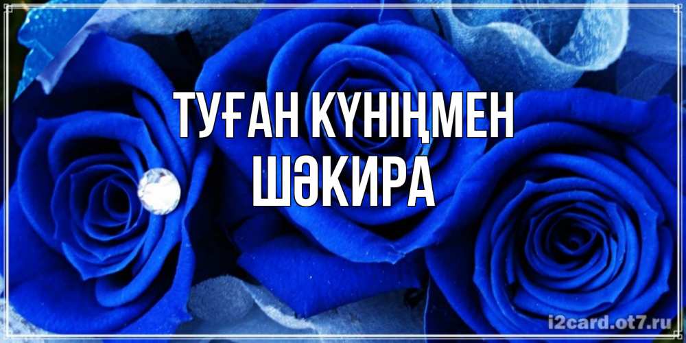 Күн сайын ашық хат с именем, ШӘКИРА Туған күніңмен синие розы в росе Онлайн тегін жүктеп алу тілектері бар керемет карта 