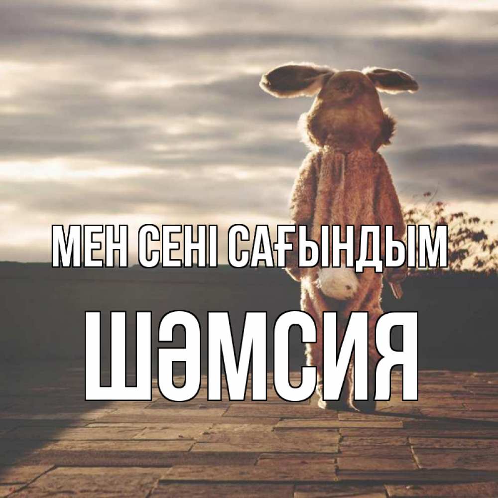 Күн сайын ашық хат с именем, ШӘМСИЯ Мен сені сағындым даже в костюме зайца Онлайн тегін жүктеп алу тілектері бар керемет карта 