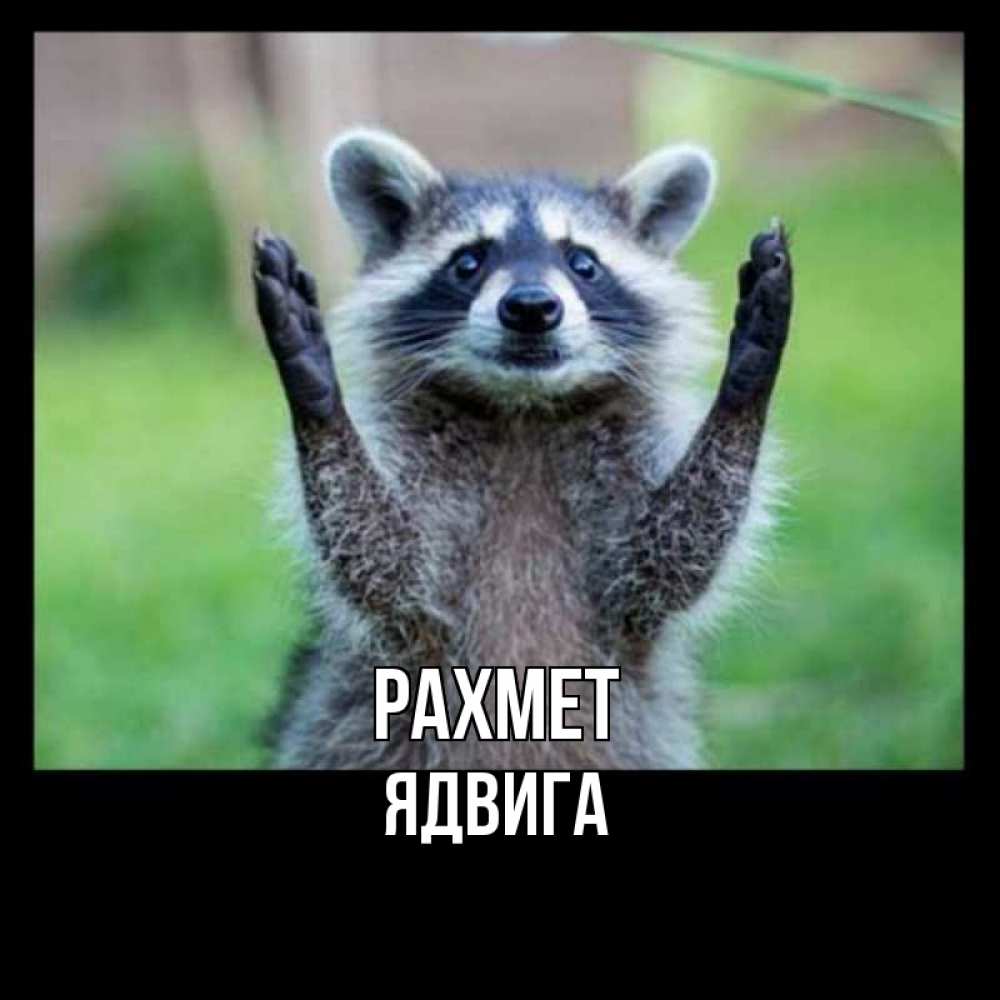Күн сайын ашық хат с именем, Ядвига рахмет милые животные Онлайн тегін жүктеп алу тілектері бар керемет карта 