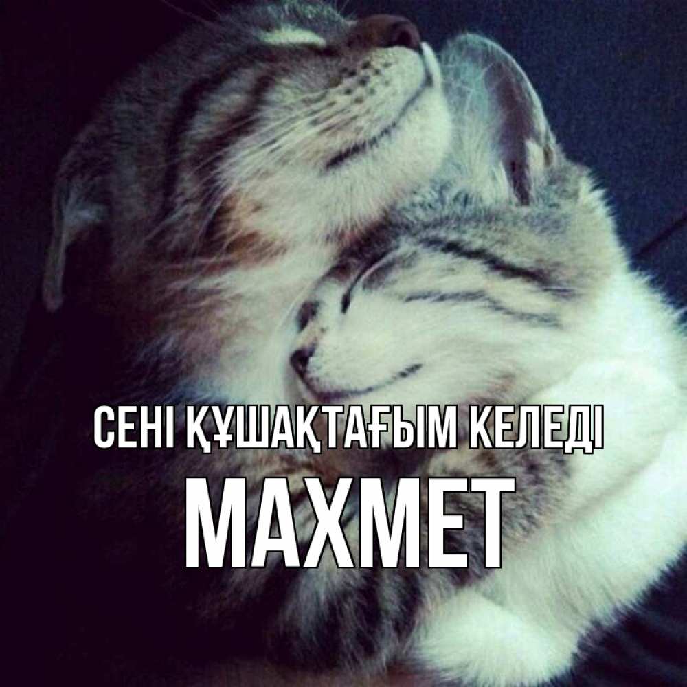 Күн сайын ашық хат с именем, МАХМЕТ сені құшақтағым келеді полосатики Онлайн тегін жүктеп алу тілектері бар керемет карта 