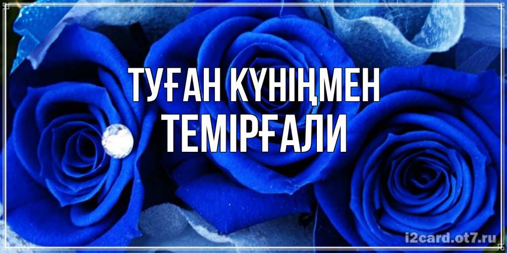 Күн сайын ашық хат с именем, ТЕМІРҒАЛИ Туған күніңмен синие розы в росе Онлайн тегін жүктеп алу тілектері бар керемет карта 