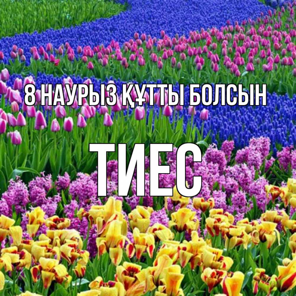 Күн сайын ашық хат с именем, ТИЕС 8 наурыз құтты болсын цветы Онлайн тегін жүктеп алу тілектері бар керемет карта 