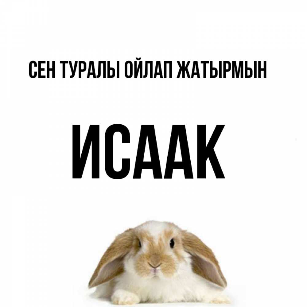 Күн сайын ашық хат с именем, Исаак Сен туралы ойлап жатырмын подписать своими руками онлайн Онлайн тегін жүктеп алу тілектері бар керемет карта 