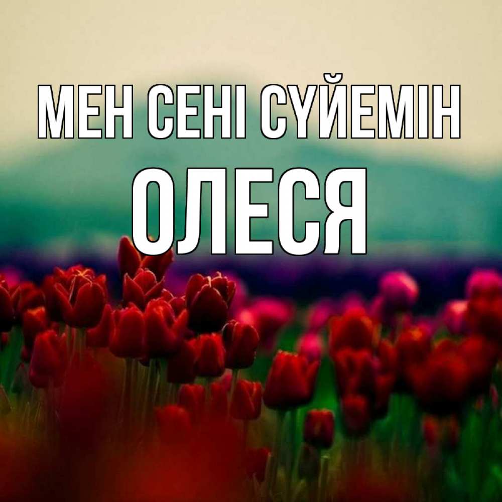 Күн сайын ашық хат с именем, Олеся Мен сені сүйемін тюльпаны 4 Онлайн тегін жүктеп алу тілектері бар керемет карта 