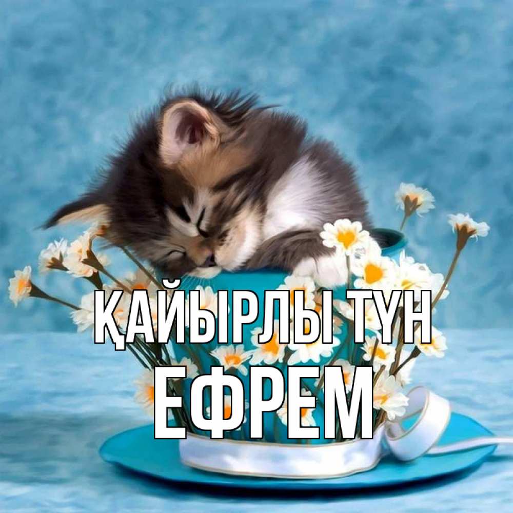 Күн сайын ашық хат с именем, Ефрем Қайырлы түн котенок спит в кружке с блюдцем Онлайн тегін жүктеп алу тілектері бар керемет карта 