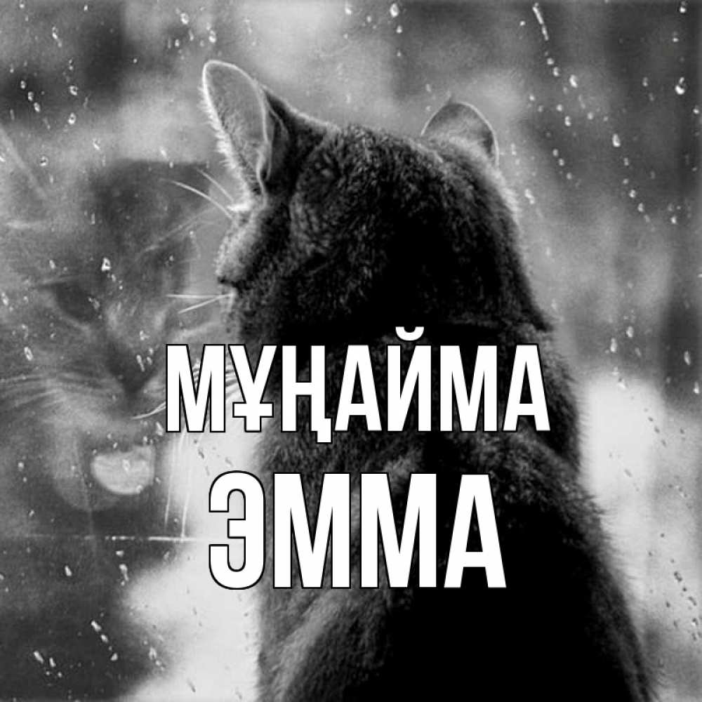 Күн сайын ашық хат с именем, Эмма Мұңайма отражение кота 1 Онлайн тегін жүктеп алу тілектері бар керемет карта 