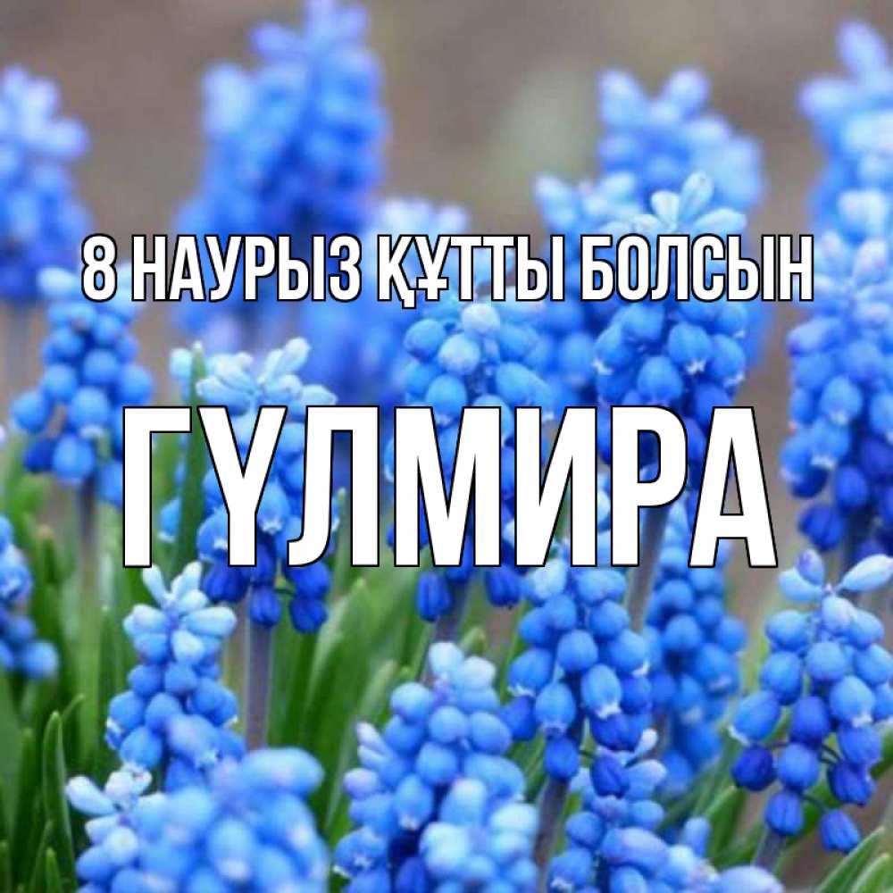 Күн сайын ашық хат с именем, ГҮЛМИРА 8 наурыз құтты болсын Поздравительная открытка для женщин с цветами на праздничную дату Онлайн тегін жүктеп алу тілектері бар керемет карта 