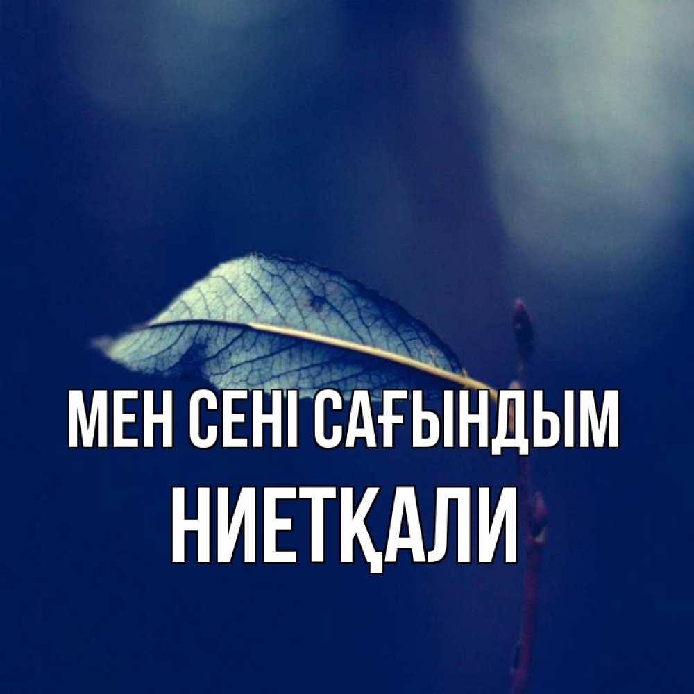Күн сайын ашық хат с именем, НИЕТҚАЛИ Мен сені сағындым одна ветка 1 Онлайн тегін жүктеп алу тілектері бар керемет карта 