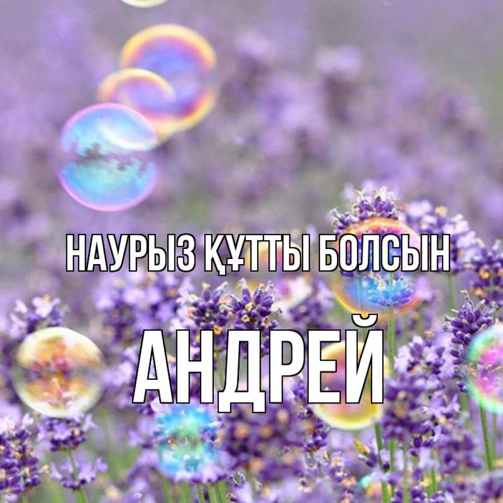 Күн сайын ашық хат с именем, Андрей Наурыз құтты болсын цветы Онлайн тегін жүктеп алу тілектері бар керемет карта 