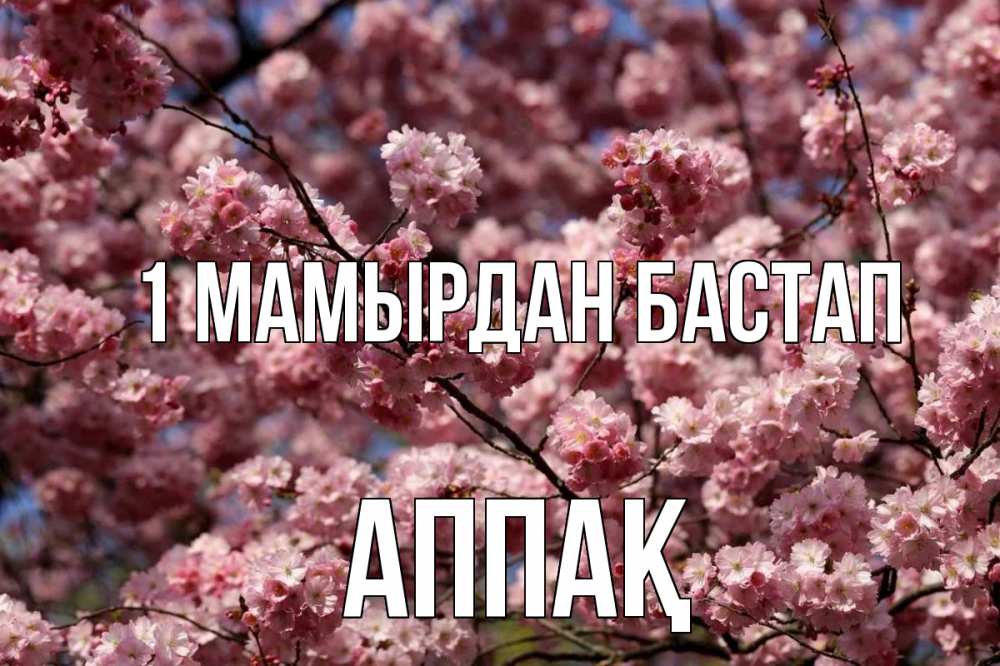 Күн сайын ашық хат с именем, Аппақ 1 мамырдан бастап С 1 мая Онлайн тегін жүктеп алу тілектері бар керемет карта 