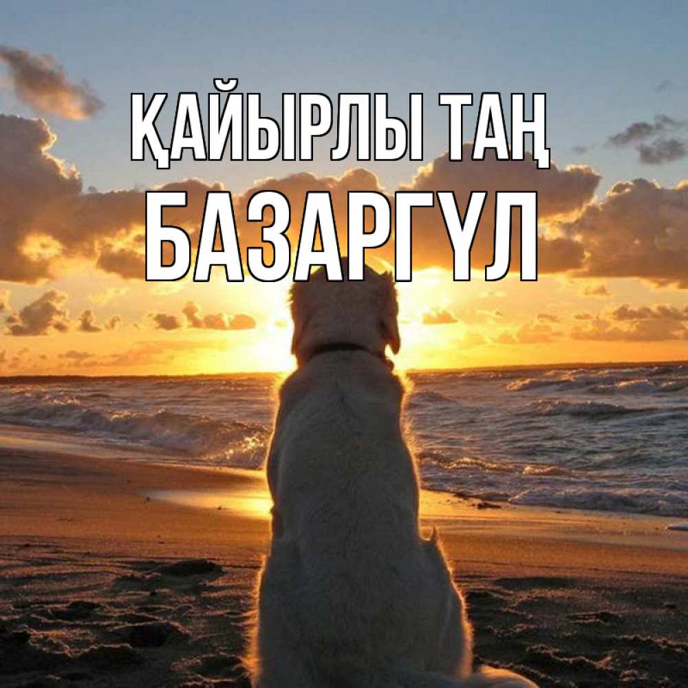 Күн сайын ашық хат с именем, БАЗАРГҮЛ Қайырлы таң восход солнца Онлайн тегін жүктеп алу тілектері бар керемет карта 