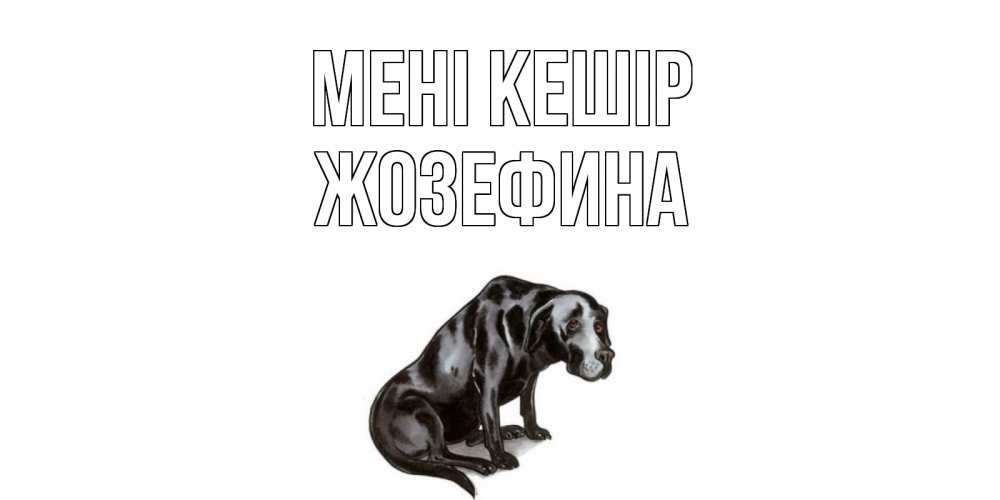 Күн сайын ашық хат с именем, Жозефина Мені кешір грустная собака на открытке с подписью прости меня Онлайн тегін жүктеп алу тілектері бар керемет карта 