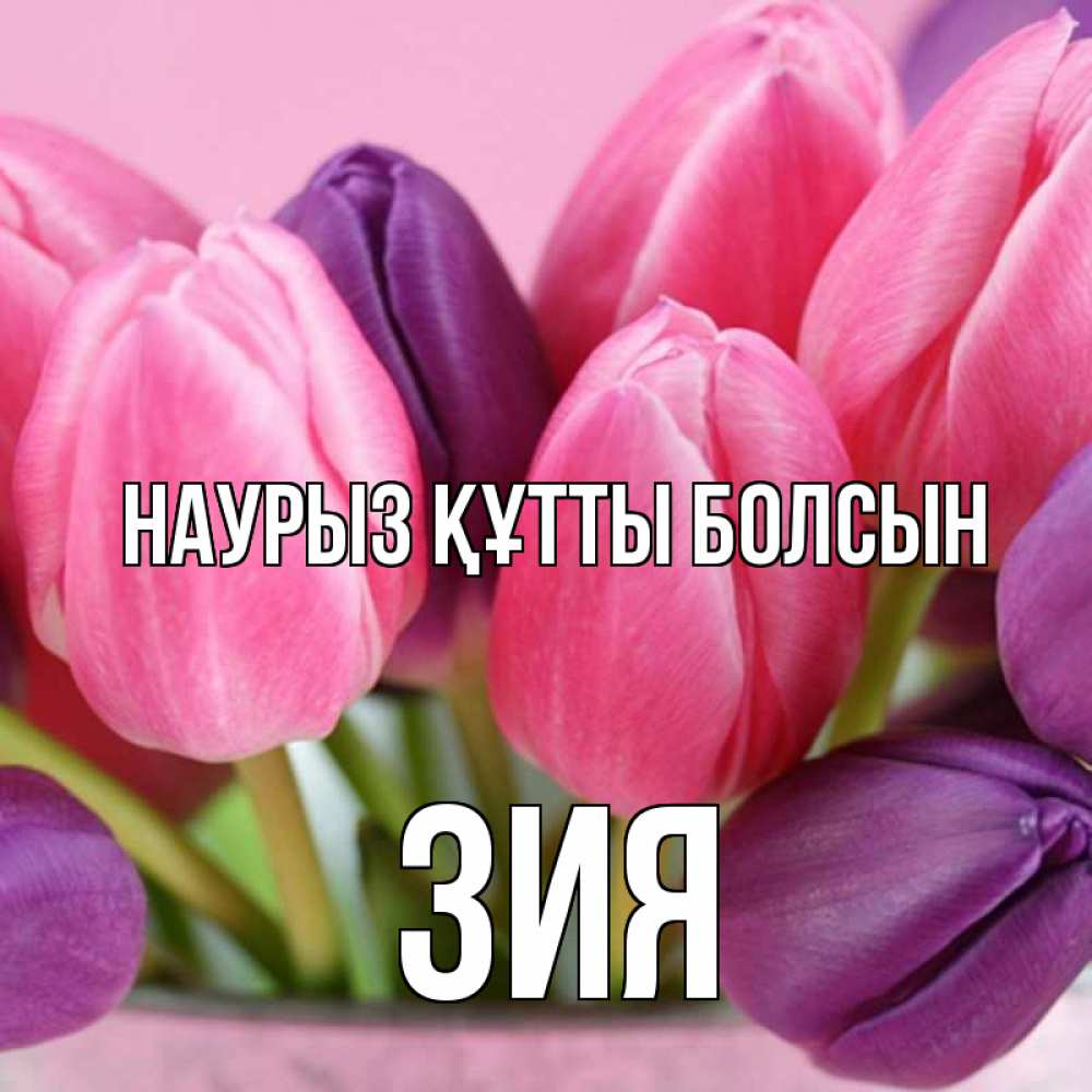 Күн сайын ашық хат с именем, ЗИЯ Наурыз құтты болсын маме 1 Онлайн тегін жүктеп алу тілектері бар керемет карта 