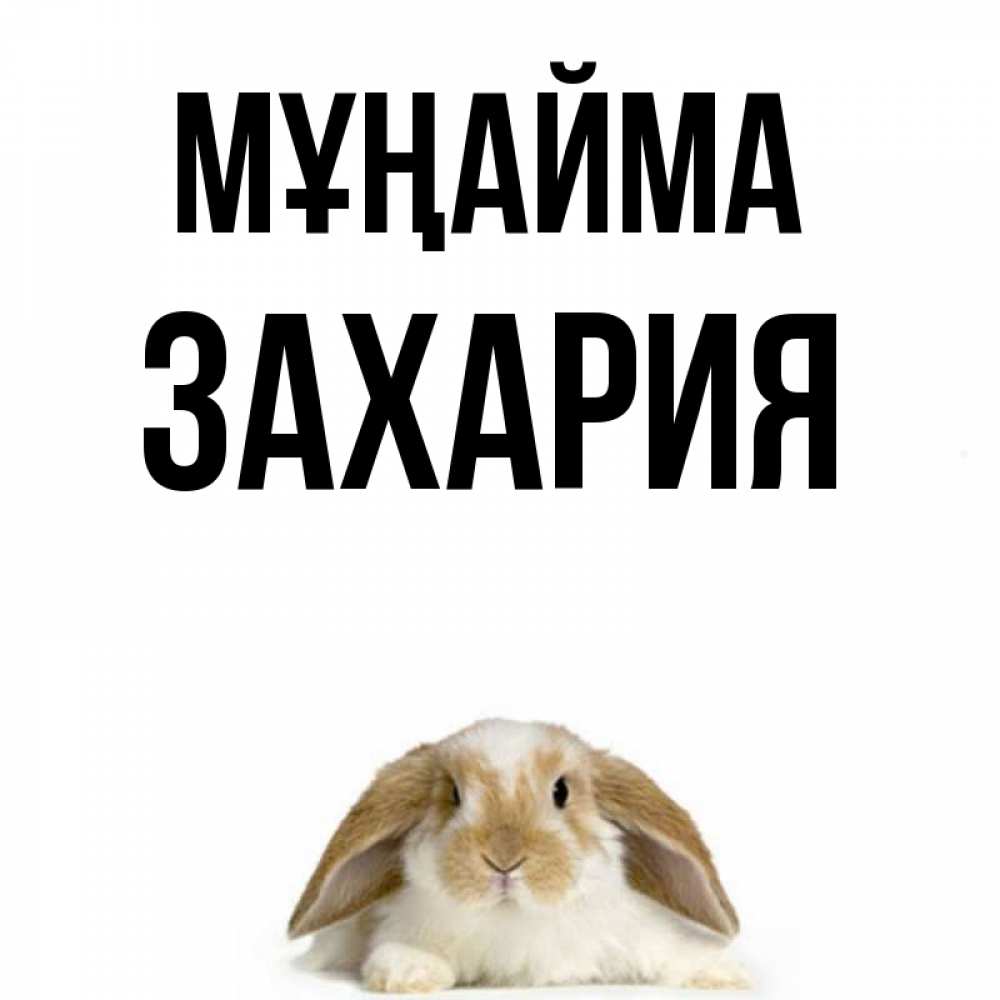 Күн сайын ашық хат с именем, Захария Мұңайма коричнево белый заяц с большими ушками Онлайн тегін жүктеп алу тілектері бар керемет карта 