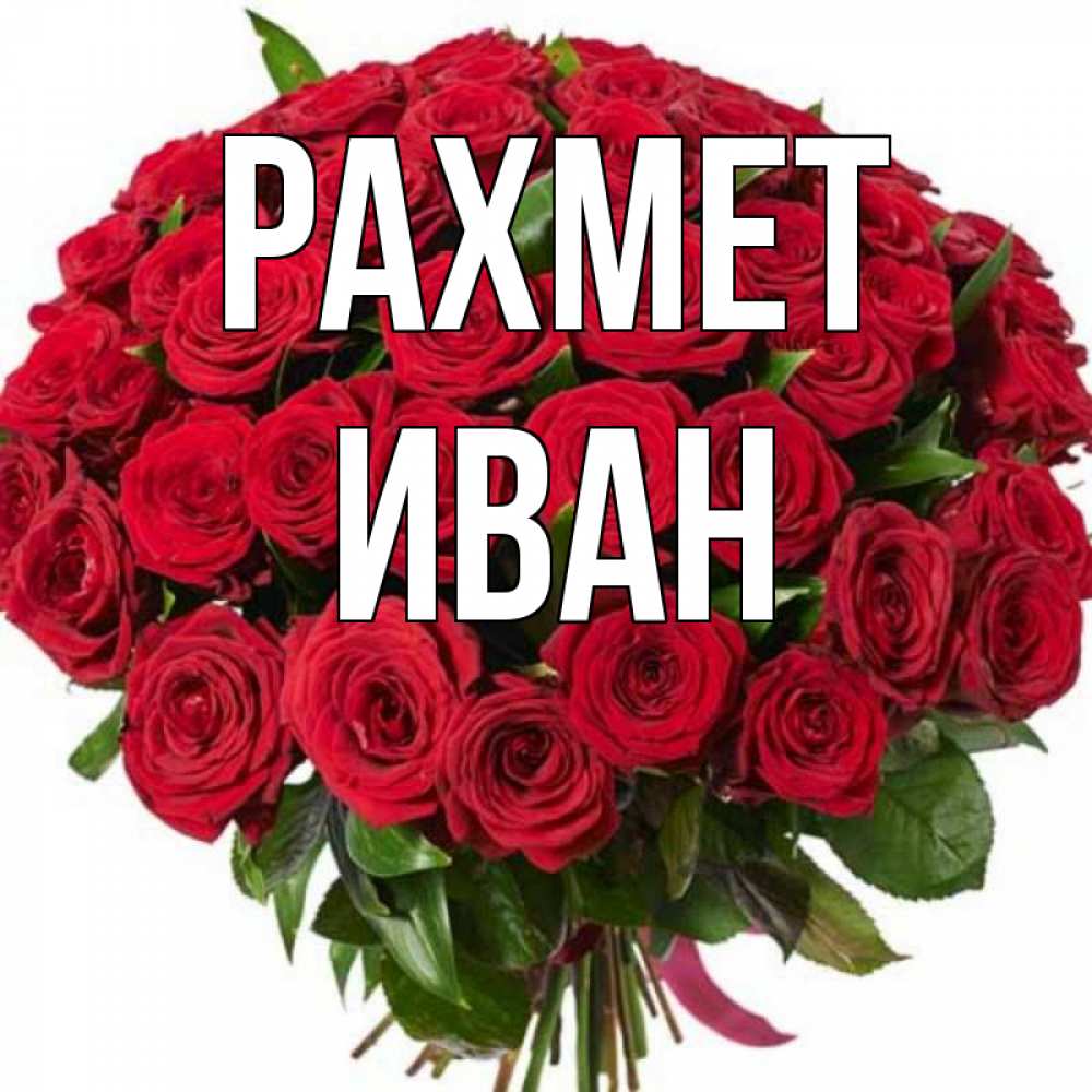 Күн сайын ашық хат с именем, Иван рахмет букет красных роз Онлайн тегін жүктеп алу тілектері бар керемет карта 