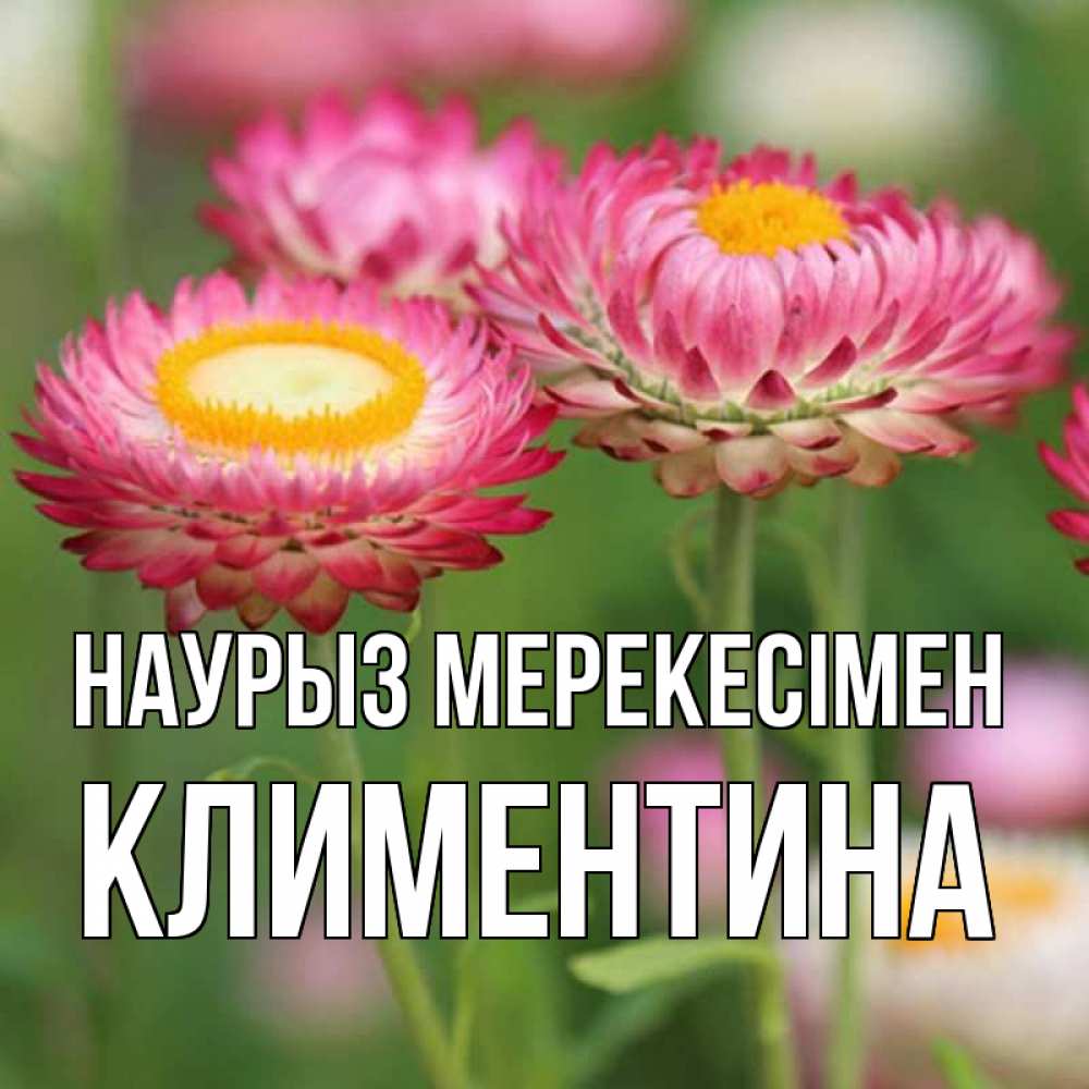 Күн сайын ашық хат с именем, Климентина Наурыз мерекесімен подарок на международный женский день Онлайн тегін жүктеп алу тілектері бар керемет карта 
