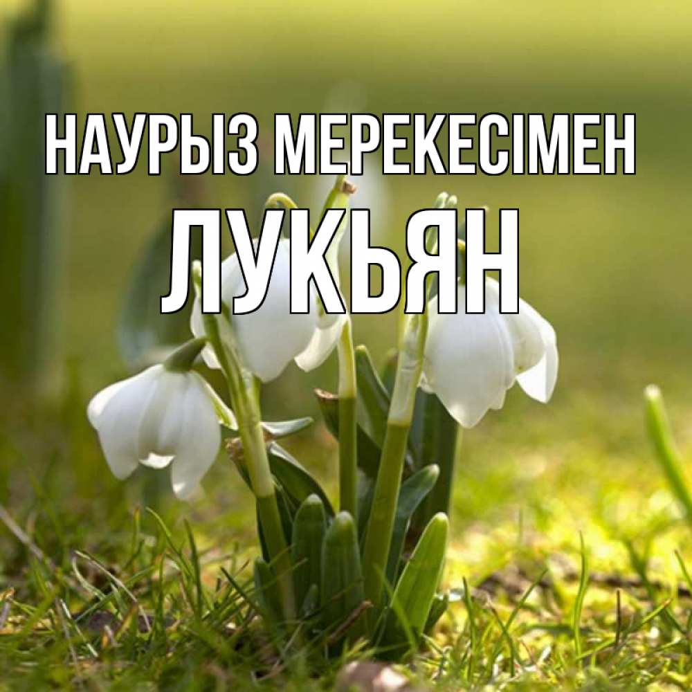 Күн сайын ашық хат с именем, Лукьян Наурыз мерекесімен ранние цветы 2 Онлайн тегін жүктеп алу тілектері бар керемет карта 