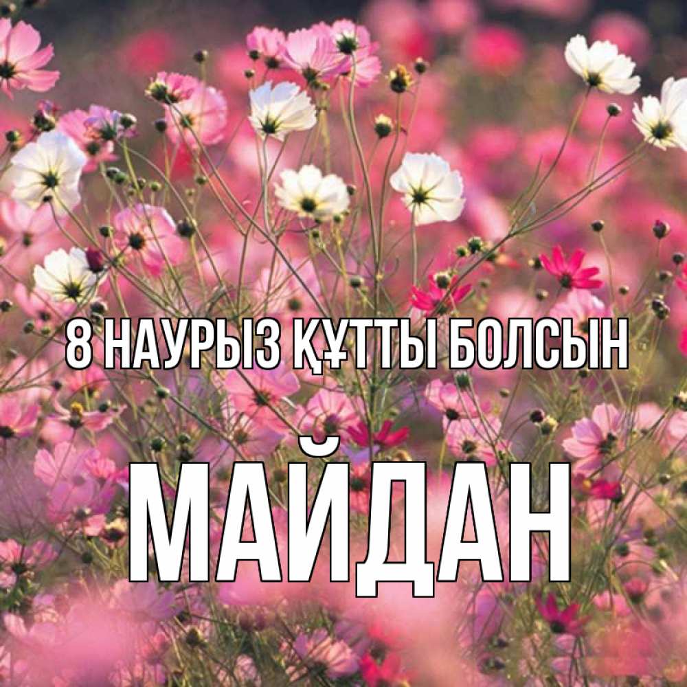 Күн сайын ашық хат с именем, МАЙДАН 8 наурыз құтты болсын красиво 1 Онлайн тегін жүктеп алу тілектері бар керемет карта 