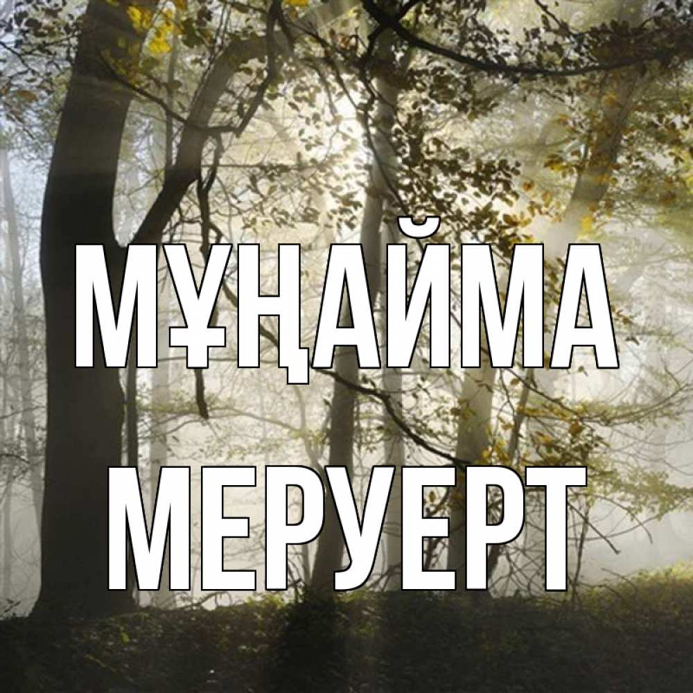 Күн сайын ашық хат с именем, МЕРУЕРТ Мұңайма лес и свет Онлайн тегін жүктеп алу тілектері бар керемет карта 