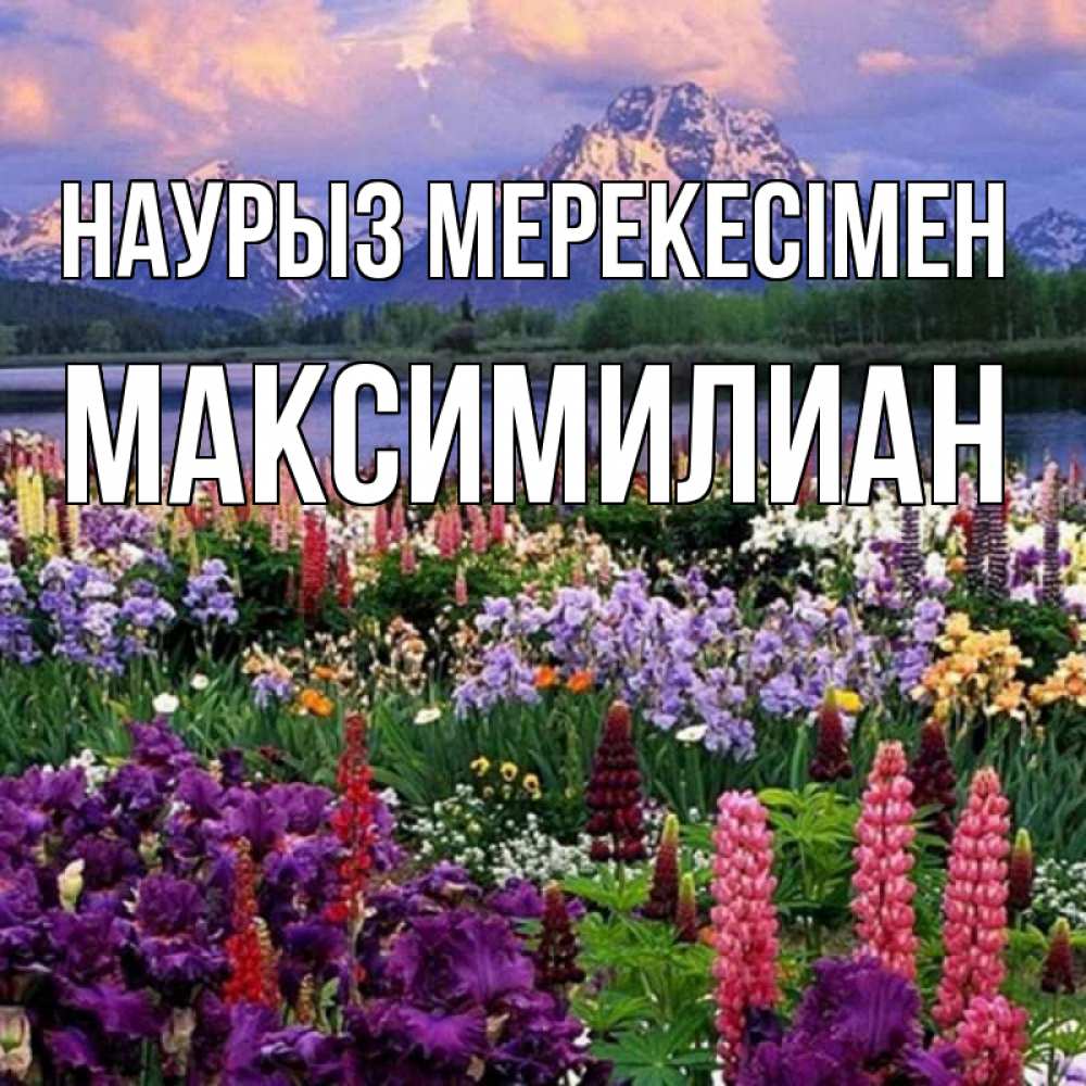 Күн сайын ашық хат с именем, Максимилиан Наурыз мерекесімен праздник весны наурыз Онлайн тегін жүктеп алу тілектері бар керемет карта 