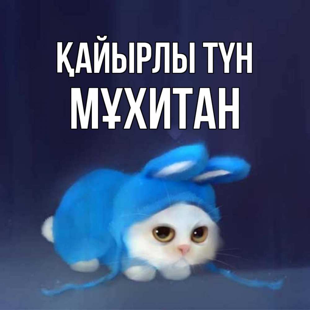 Күн сайын ашық хат с именем, МҰХИТАН Қайырлы түн кот в голубом костюме кролика с ушками Онлайн тегін жүктеп алу тілектері бар керемет карта 