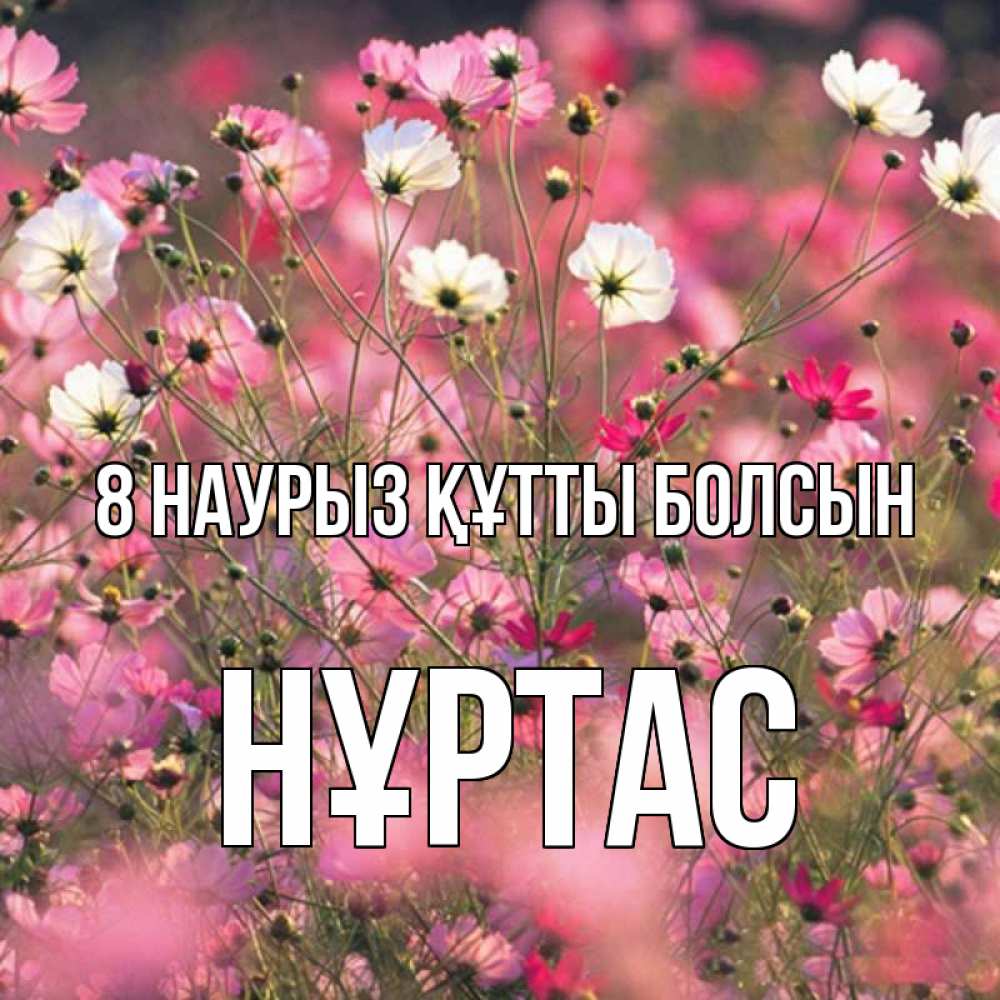 Күн сайын ашық хат с именем, НҰРТАС 8 наурыз құтты болсын красиво 1 Онлайн тегін жүктеп алу тілектері бар керемет карта 