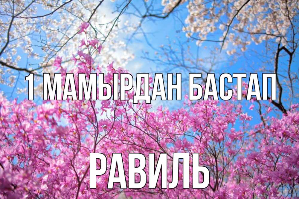 Күн сайын ашық хат с именем, Равиль 1 мамырдан бастап С 1 мая Онлайн тегін жүктеп алу тілектері бар керемет карта 