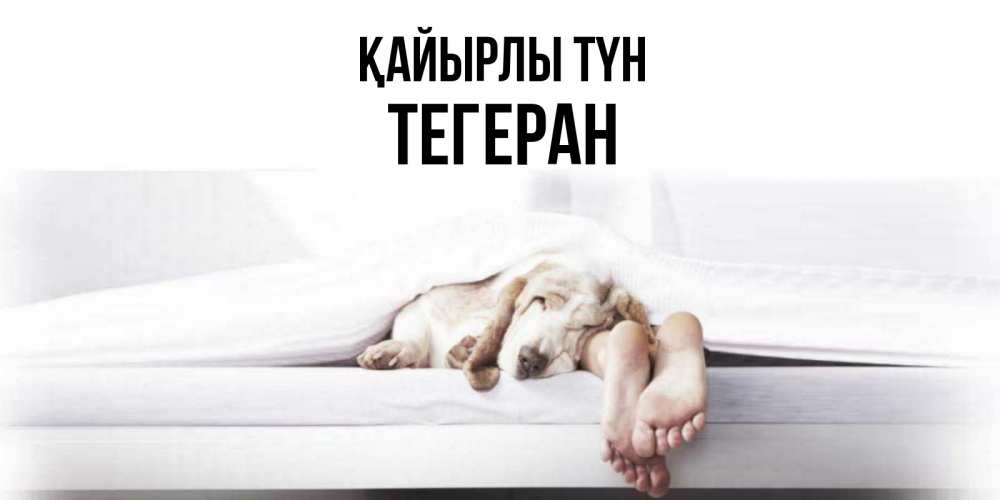 Күн сайын ашық хат с именем, ТЕГЕРАН Қайырлы түн кровать с собакой пожелание сладких снов и спокойной ночи Онлайн тегін жүктеп алу тілектері бар керемет карта 