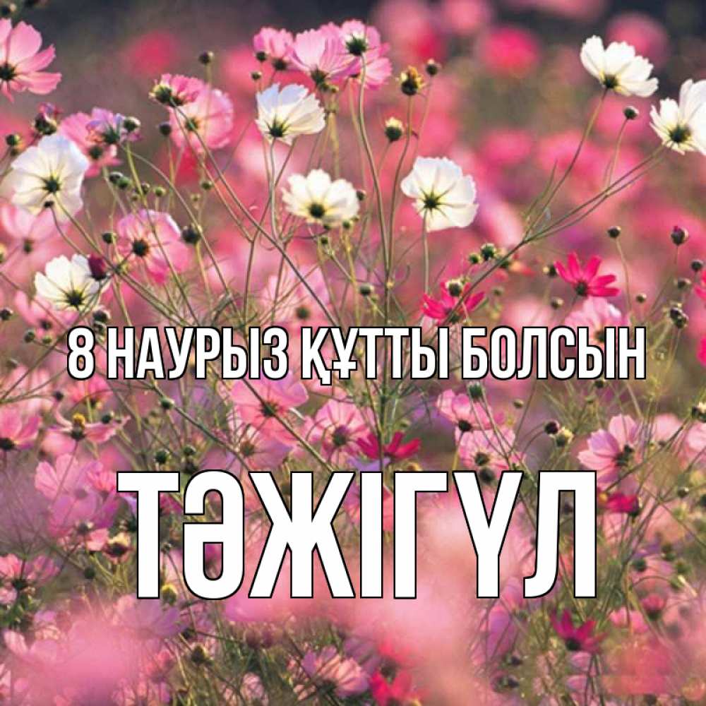 Күн сайын ашық хат с именем, ТӘЖІГҮЛ 8 наурыз құтты болсын красиво 1 Онлайн тегін жүктеп алу тілектері бар керемет карта 